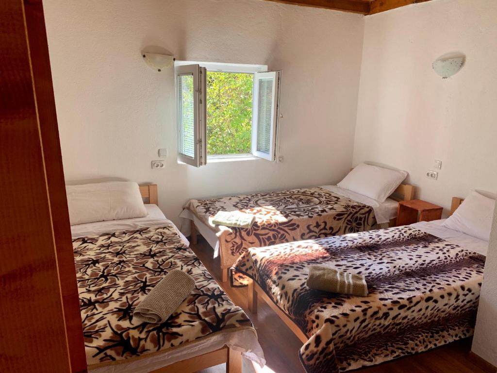 Sofia Guest House photo 2
