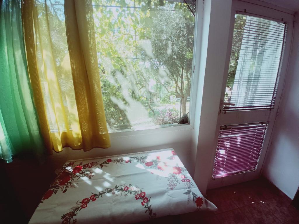 Zagradge IN Apartments photo 3