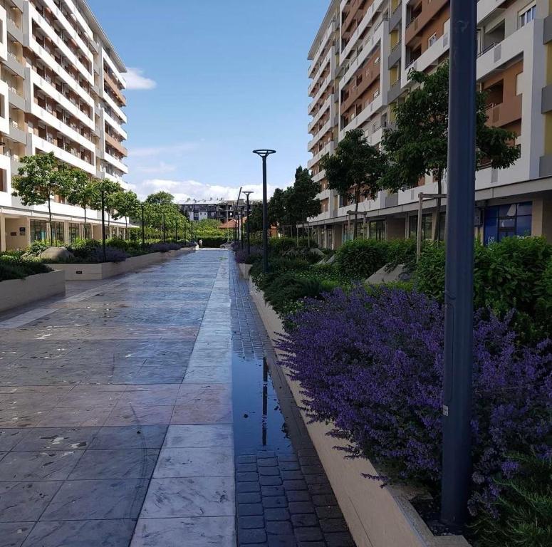 Studio apartman Vivo Central photo 3