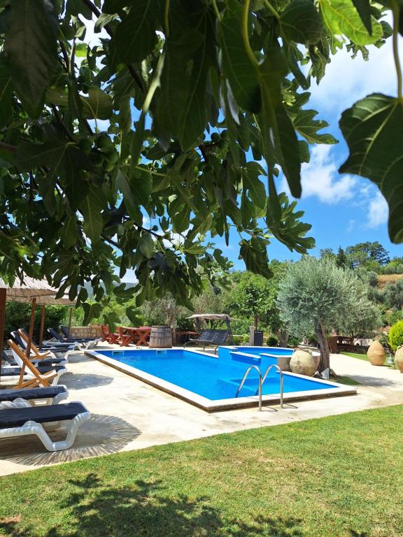 Rustic Villas Barlovic photo 2