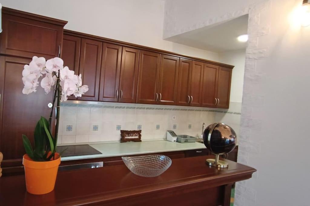 Apartment Matko Budva photo 3