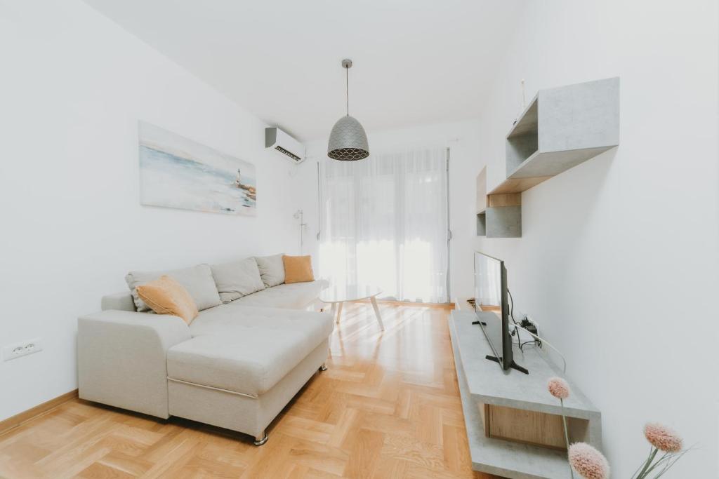 Modern Spacious Fully Equipped One Bedroom Apartment in Budva photo 3