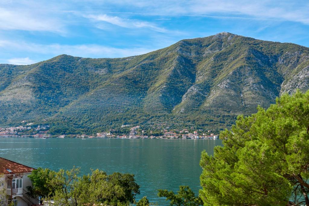 Alla Cartolina photo 2
