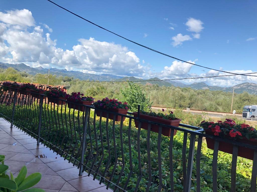 Skadar Lake Apartment -Karolina photo 3