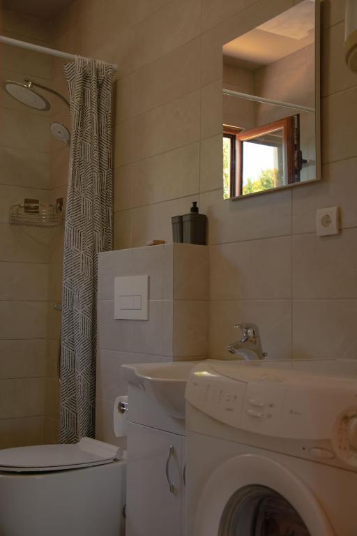 River house Bonaca photo 3
