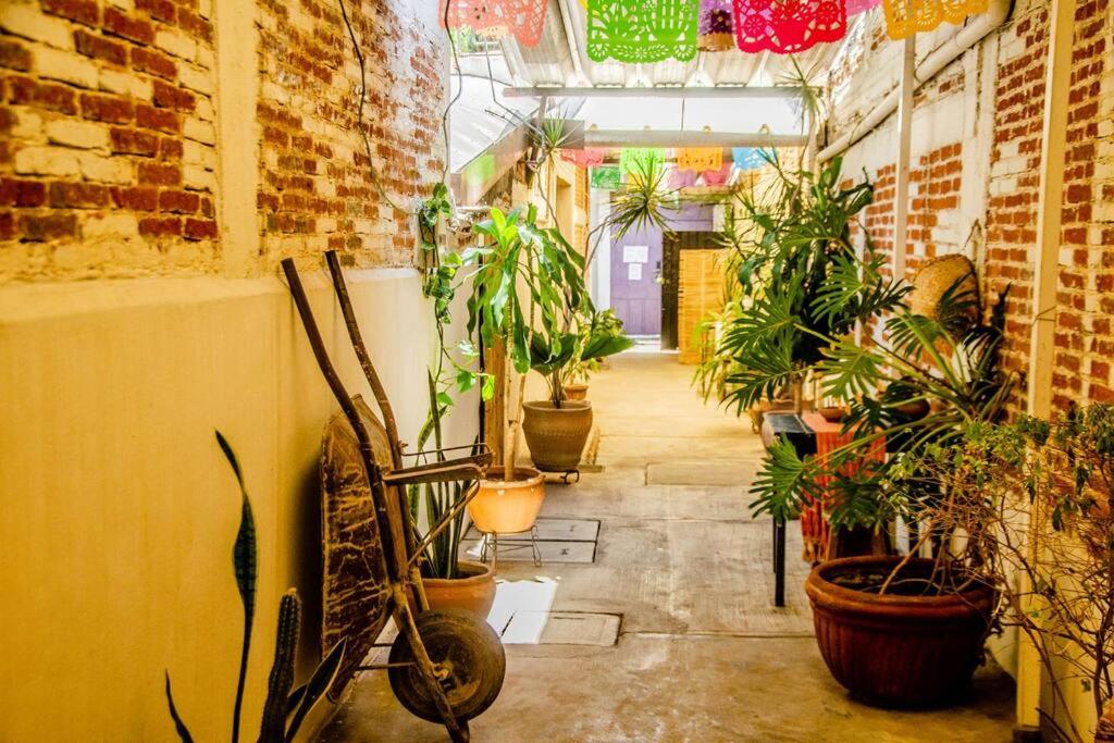 The Green Loft — photo 1