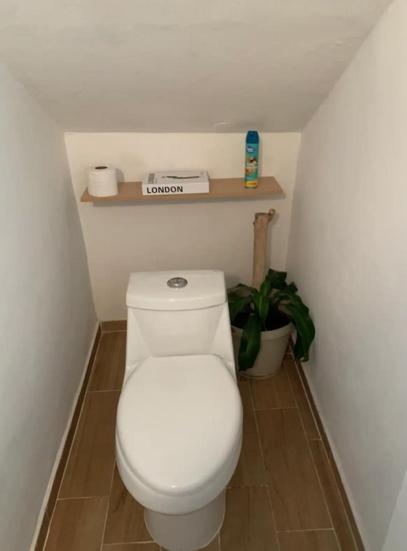 Booking.com: Hotels in Puebla. Book your hotel now! photo 3