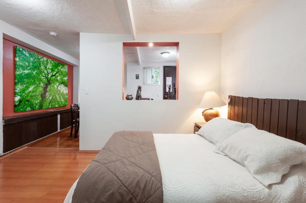 Suite 5A photo 2