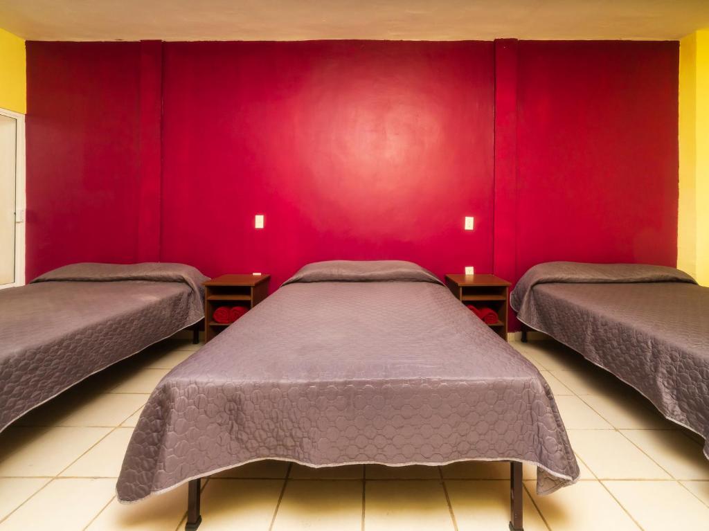 Hotel Santa Cruz photo 3