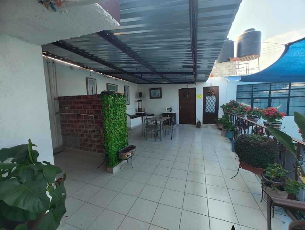 Hotel Don Quijote photo 3