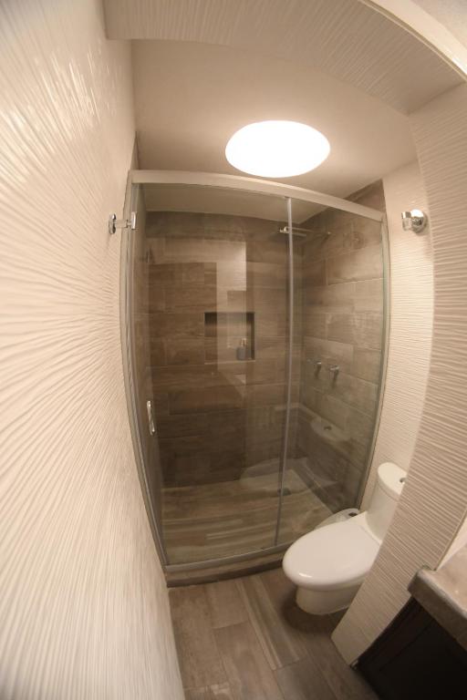 The House of Cinema photo 3