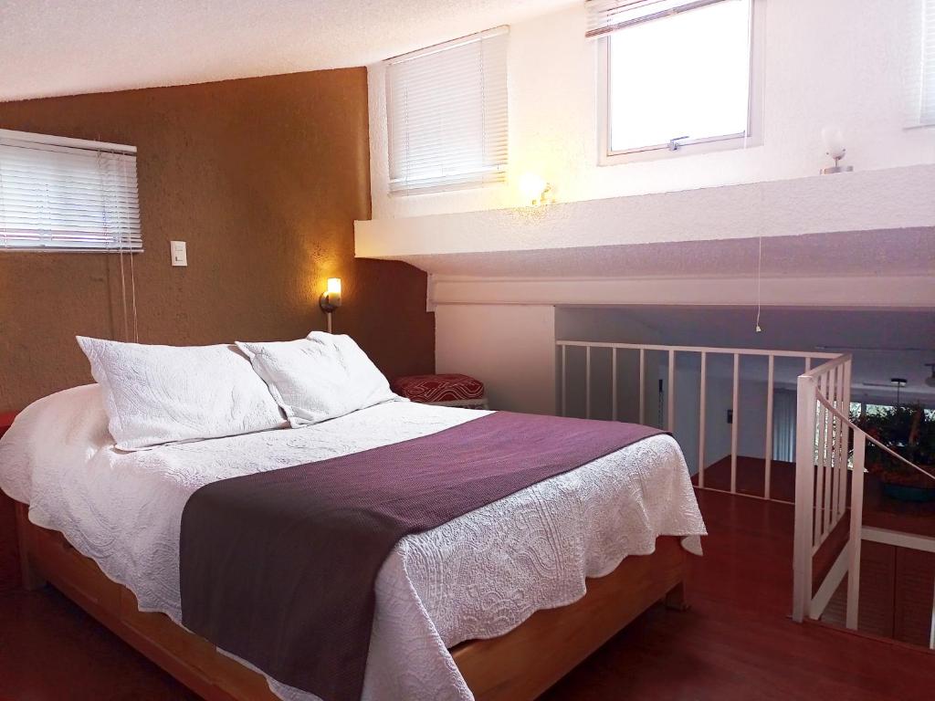 Suite 3C photo 2