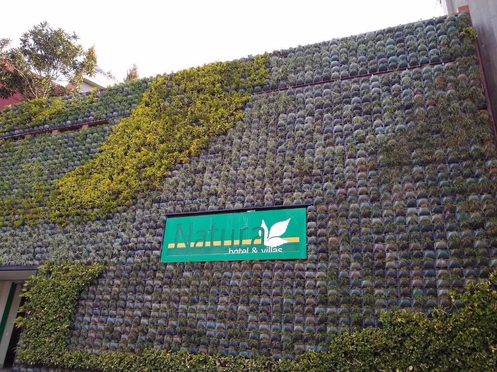 Hotel y Villas Natura — photo 1