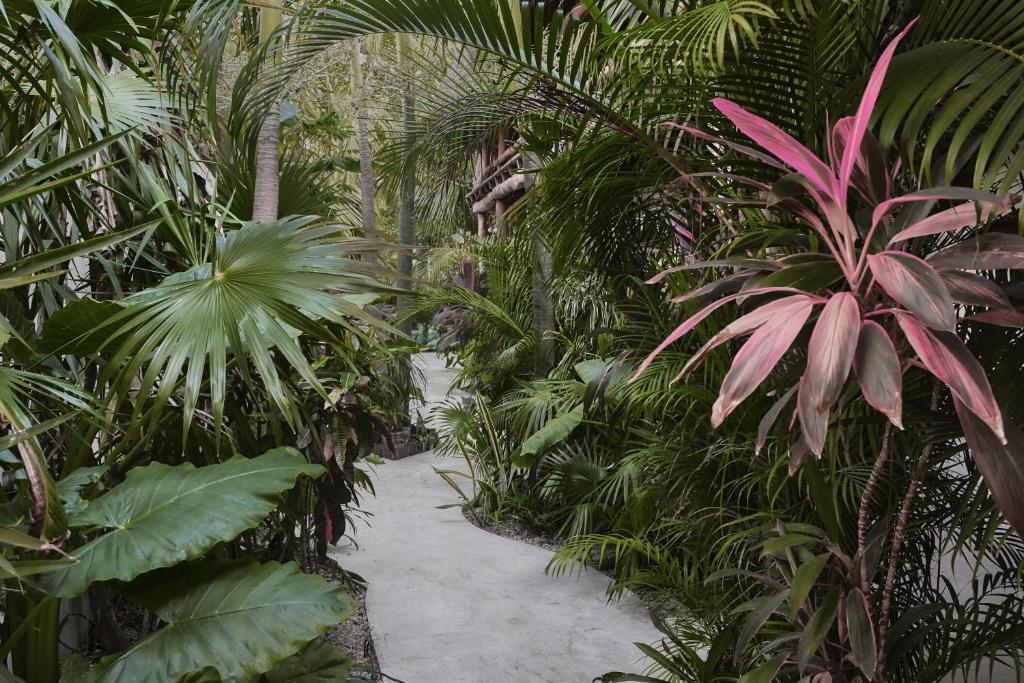 Hotel Boutique TerraNova — photo 1