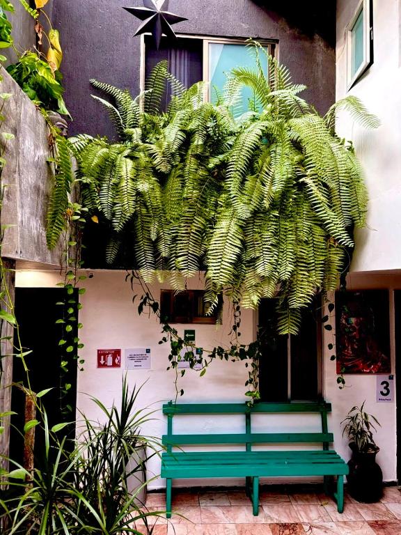 Zyan Rooms photo 3