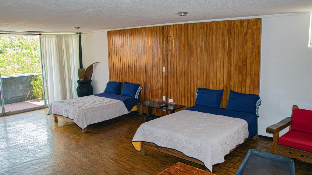 Suites Las Plazas photo 2