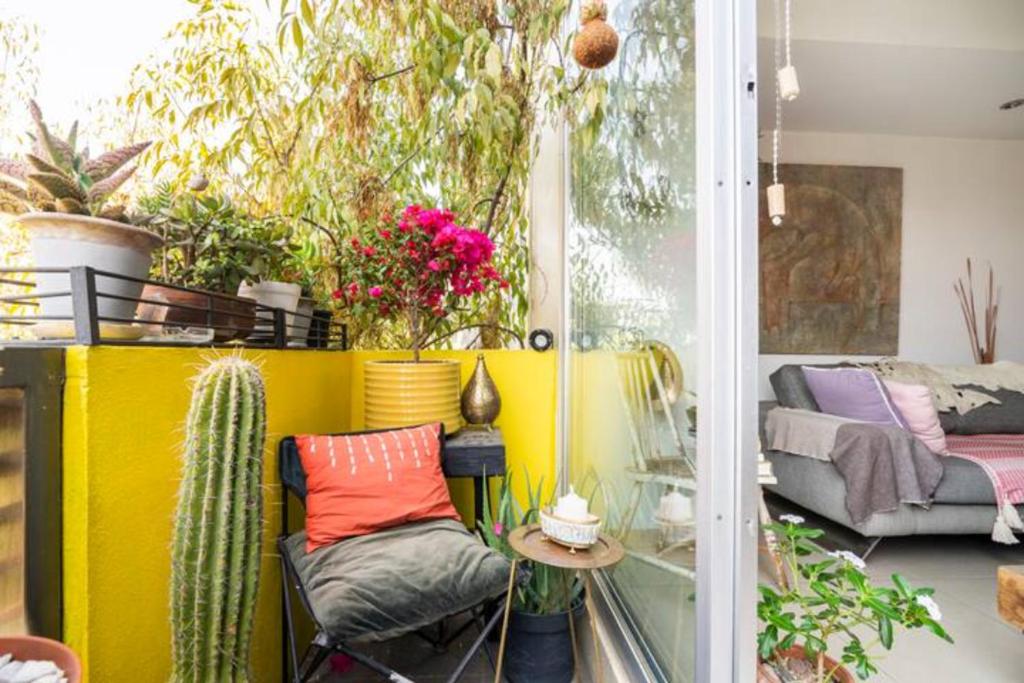 Pequeña habitacion FRIDA - design CDMX - áreas comunes compartidas photo 2
