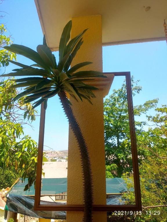 Padrinos Hostal La Paz Full House photo 3