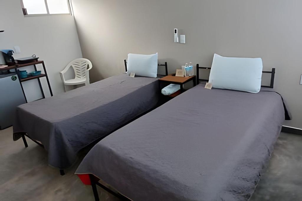 SUITE Begonia — photo 1