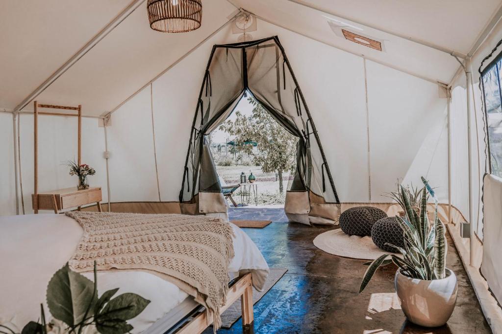 Salterra Glamping photo 2