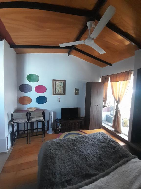 Studio en la Condesa — photo 1