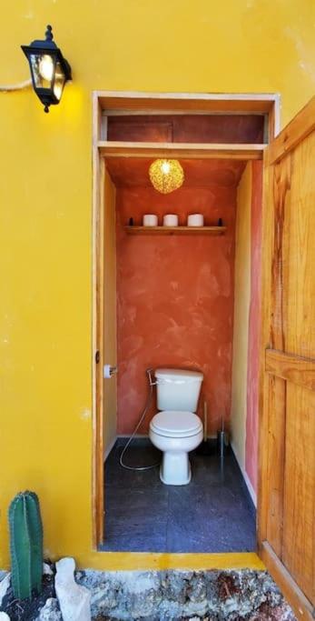 Cuarto Maracuyá photo 3