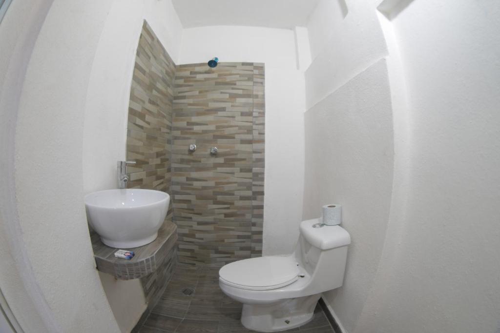 Hotel San Carlos photo 3