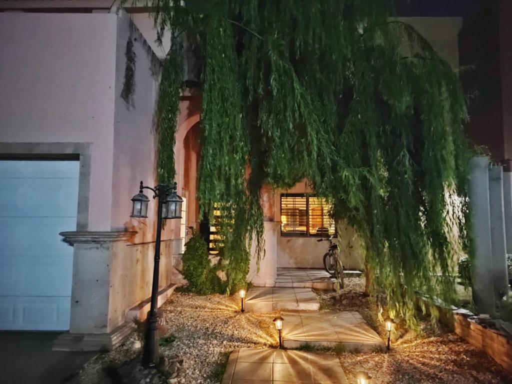 casa consulado — photo 1