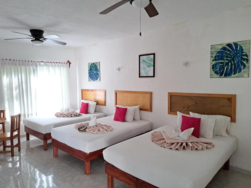 Hotel Quinta Paraiso photo 2