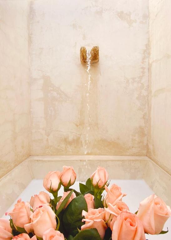 Rosas & Xocolate Boutique Hotel and Spa Merida photo 3