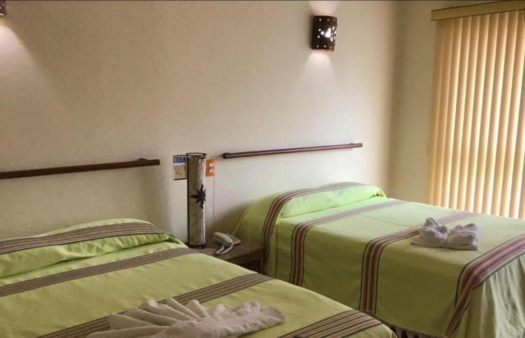 Suite Sofia Veracruz photo 2