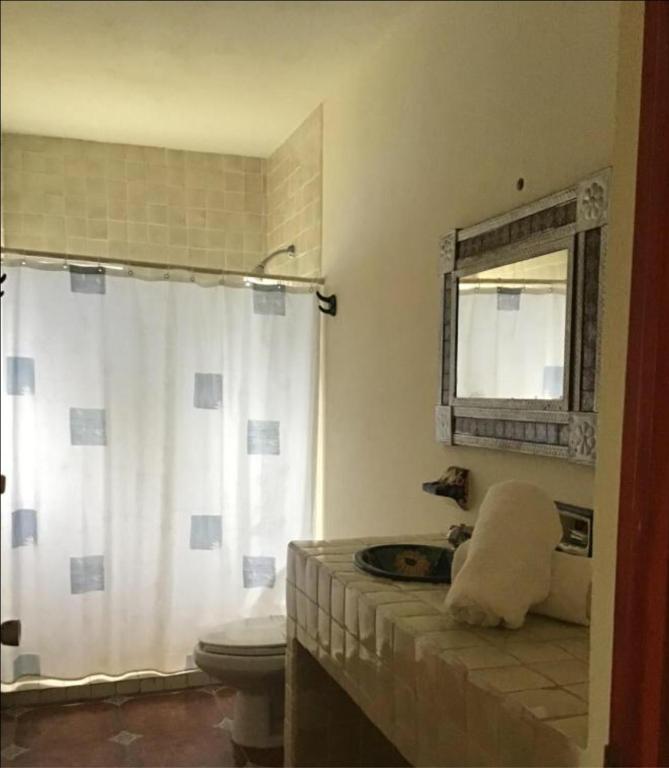 Suite Sofia Veracruz photo 3