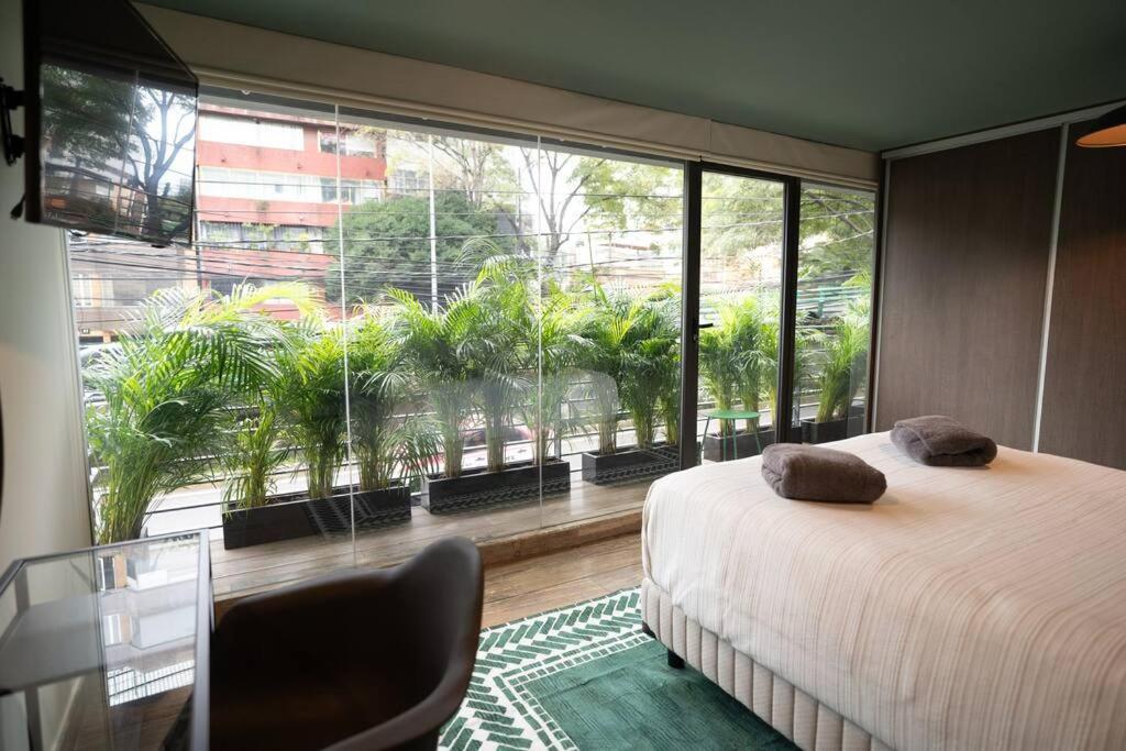 Stylish 2BR-2BA Near Plaza de Toros Mexico City photo 2