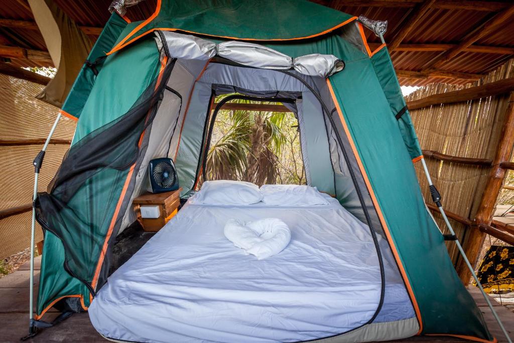Skycamp Camping Holbox photo 2