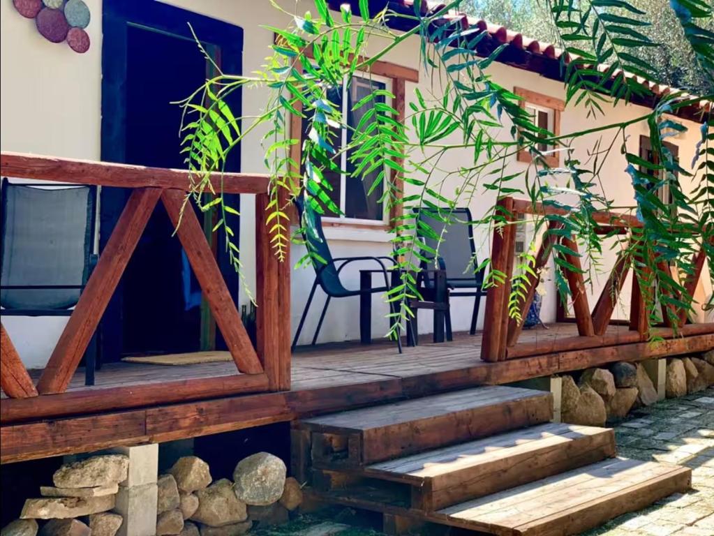 Roca Jardin photo 2