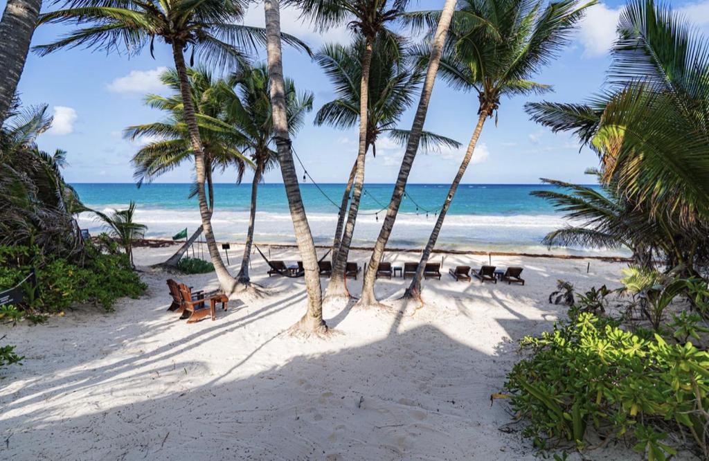 Tulum beach home next to Gitano! — photo 1