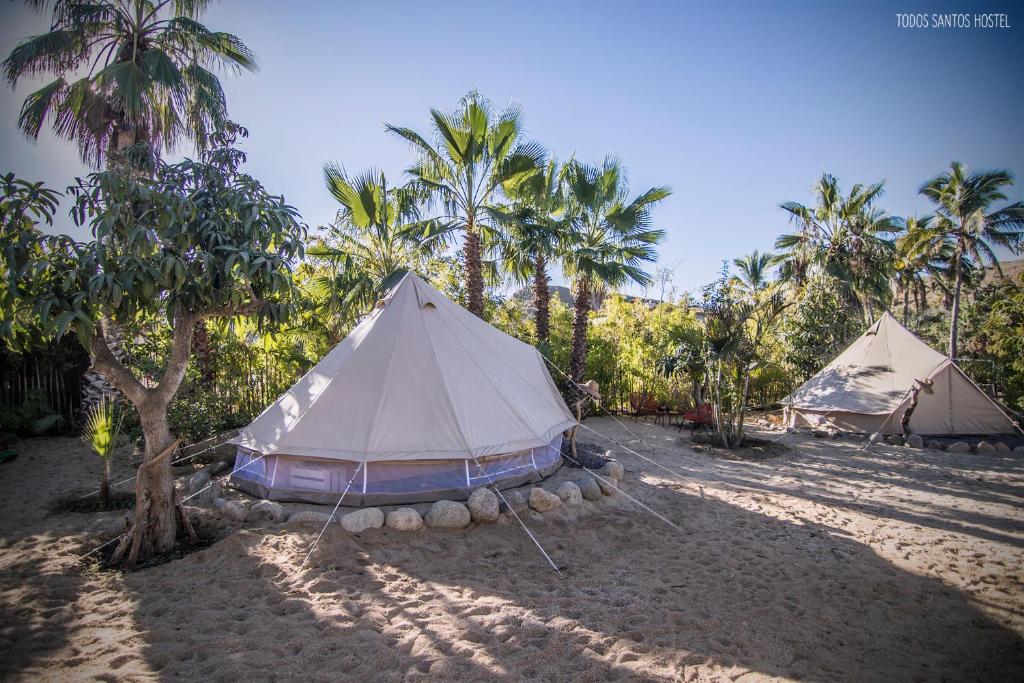 Todos Santos Hostel super fast and stable satellite wifi photo 3