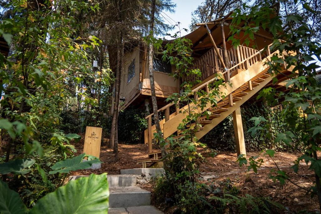 Pistache: Cabaña de lujo — photo 1