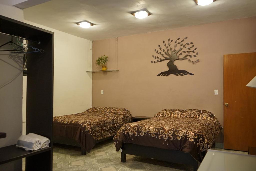 Telpochcalli Hotel & Temazcal photo 2