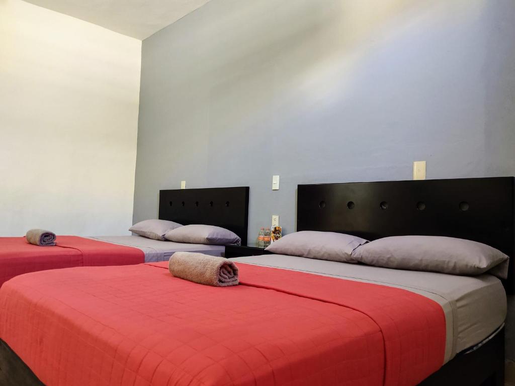 Hotel Zepeda photo 2