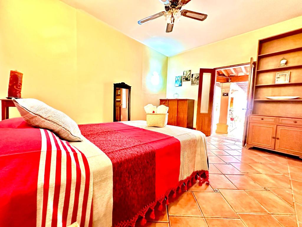 Yoo House - Hab6 photo 2