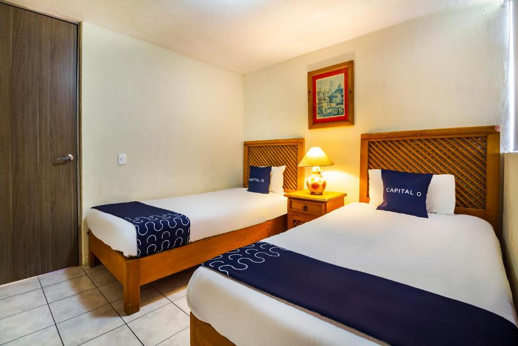 Suites Navata photo 2