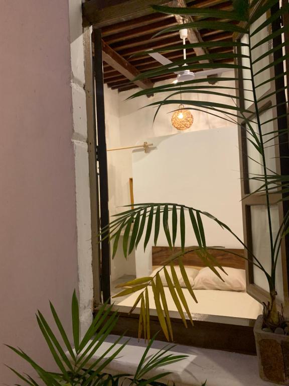 Casa Mediterranea — photo 1