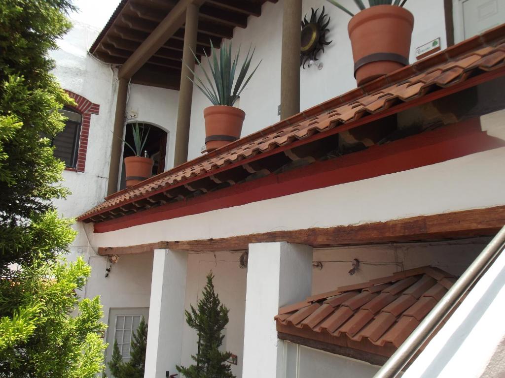 Suites Aldama — photo 1