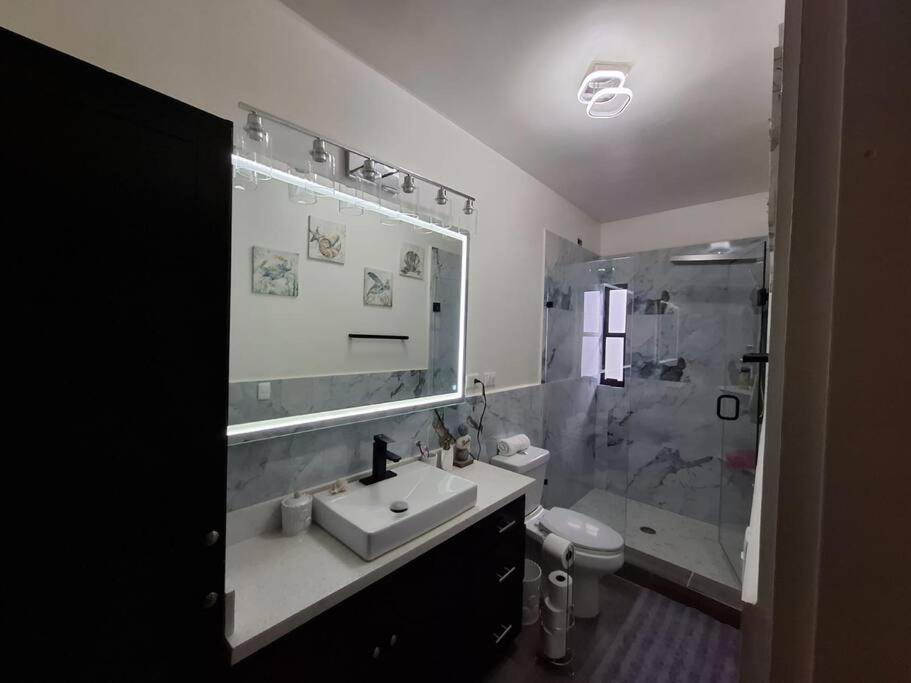 Spacious 3-Bed photo 3