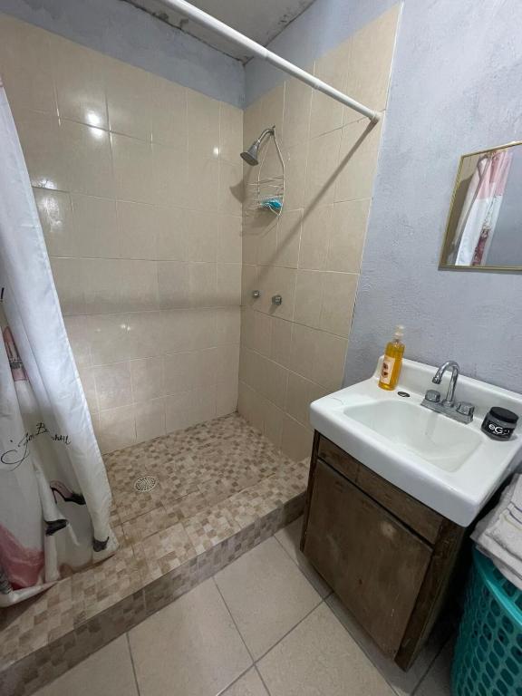 Separate apartment in guesthouse photo 3