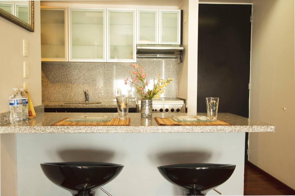 1312 Premier private apartment four guests downtown photo 3