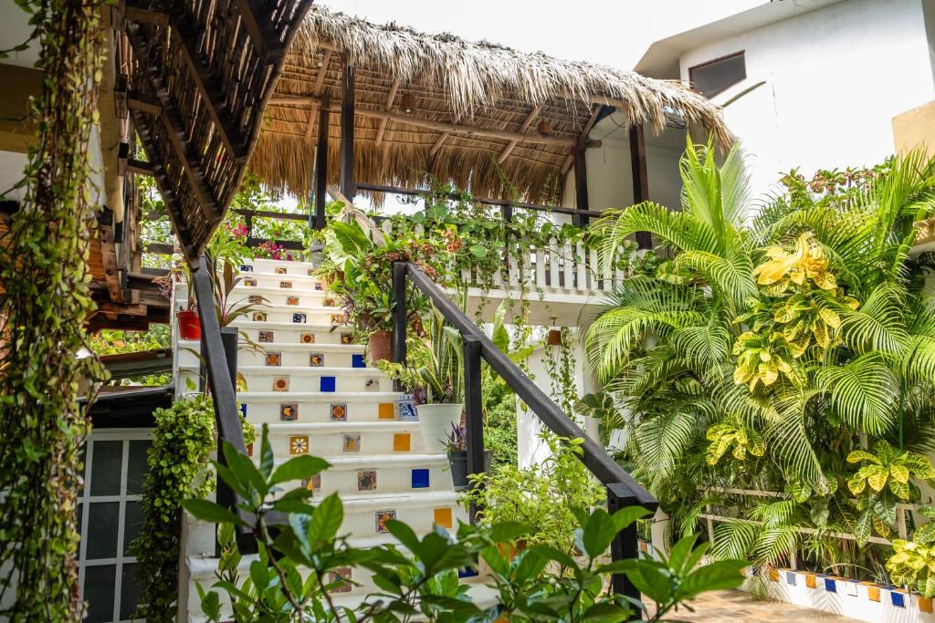 Casa Mazunte Tierra Viva — photo 1