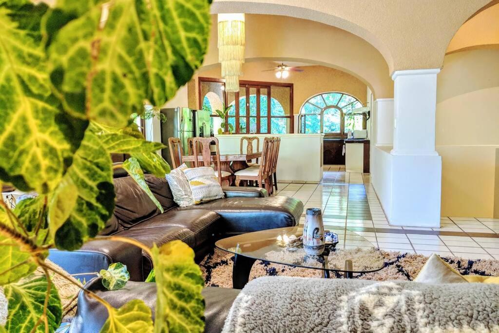 Steps to Ocean Huge Beach Villa Private Pool in Exclusive Fase 1 Playacar photo 3