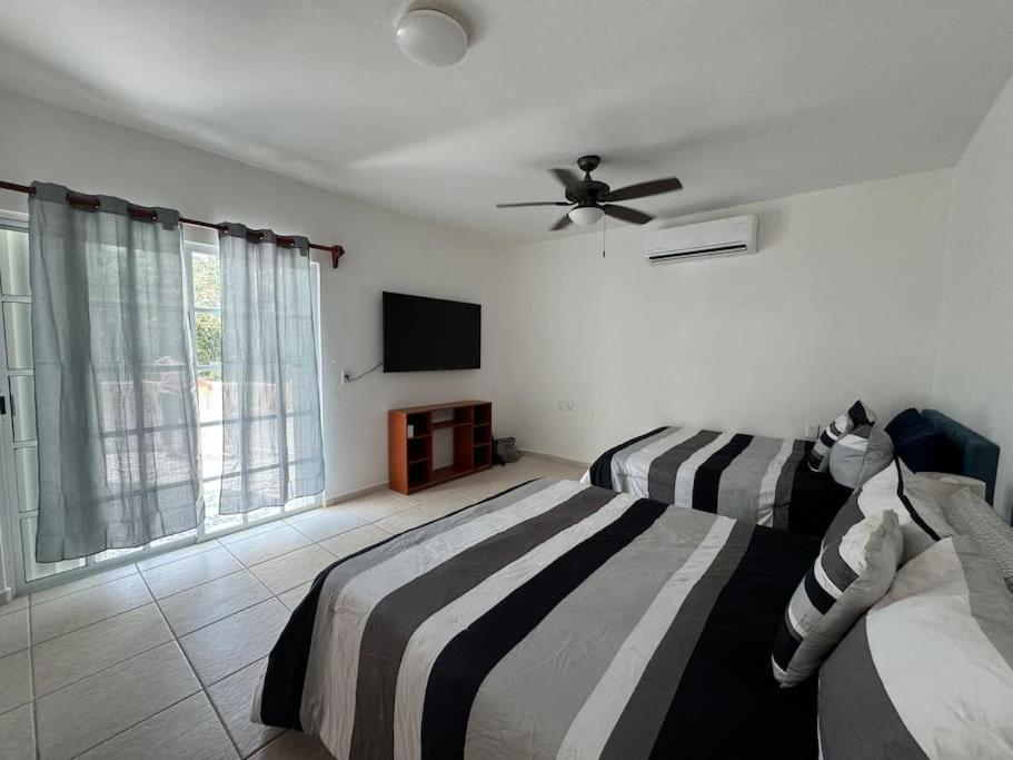 Suites Amplias en Quinta Avenida photo 2